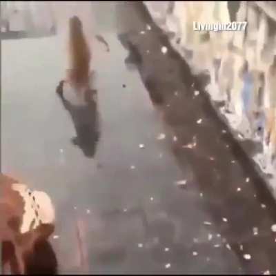 pobre macaco