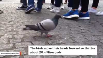 My genuine curiosity was ruined by mortified amusement