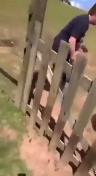 Bah levei uma pancada 😰