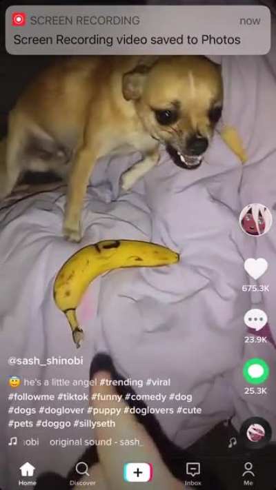 Don’t take away the banana
