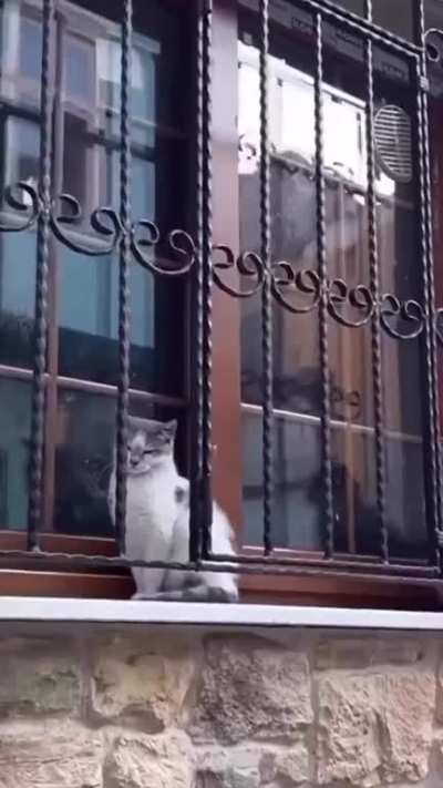 A Normal Day In İstanbul