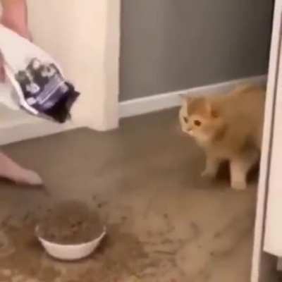 concern