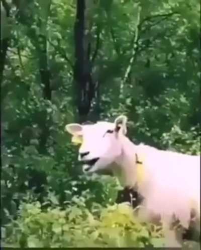 😳😳