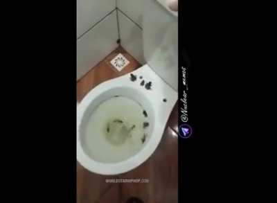 Remember this next time when you use the public toilet