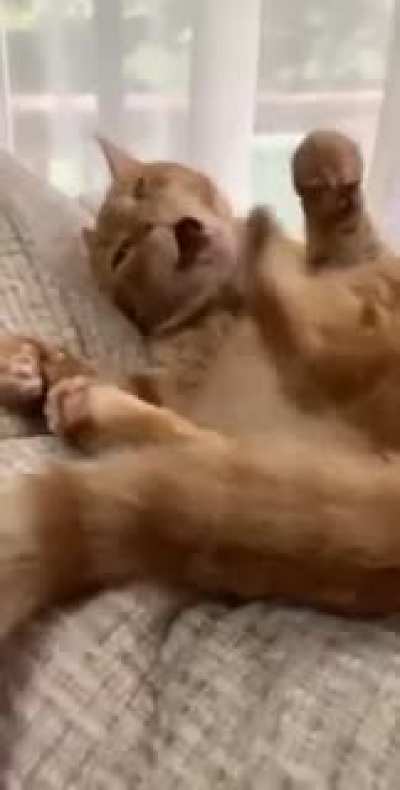 Maybe Maybe Maybe