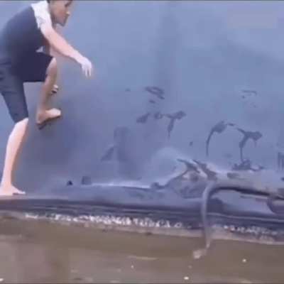 There is always a bigger snake