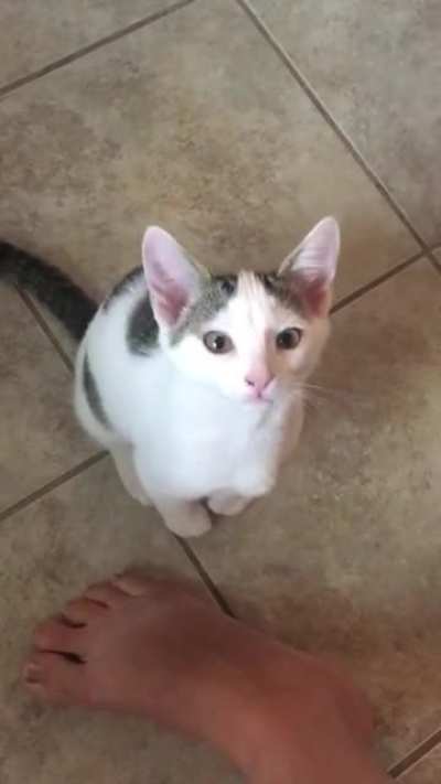 I don't care that you need more coffee. You are in the kitchen, so feed me now!