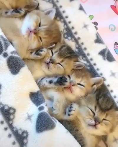 I do not have the words...