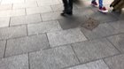 The finest buskers in the land can be found in London