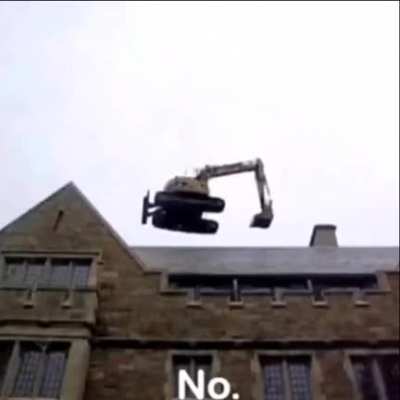 Northstar mains when they see a monarch