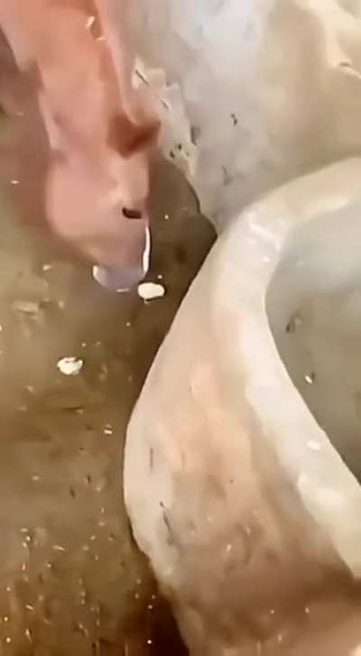 tasty