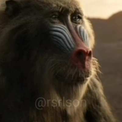 Monke learns the way of the wank.