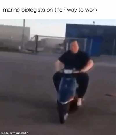 My Ocean People Need Me