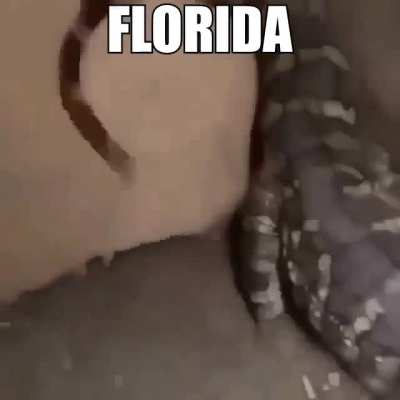 Florida