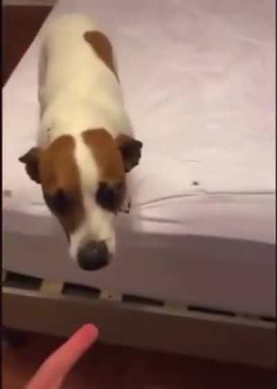 I jumped too