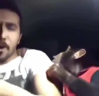 Literalmente el chat y orslok cuando un chica desconocida hace stream