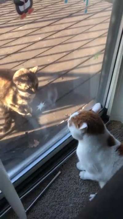 Don’t touch him lol