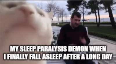 Plaze Halp