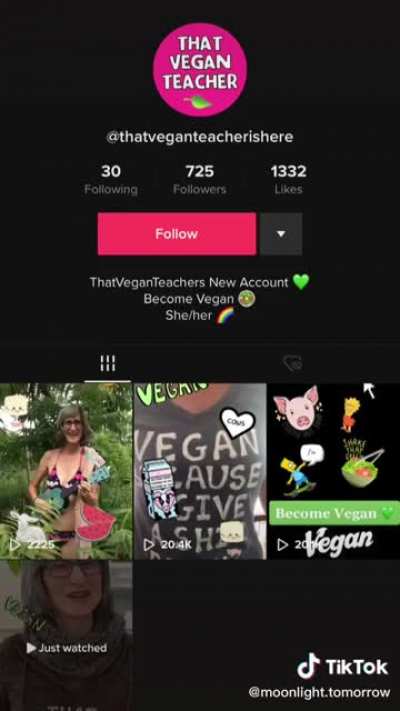 tiktok in a nutshell