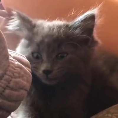 Squeak compilation