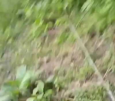 Local PDF attack in Paukkaung, Bago Region, Myanmar. Allegedly, a junta administrator \ Pyusawhti commander was ambushed and killed. Some of the Weapons used include an M16A1, a Type 81 rifle, and a Tumi/Tumee black powder flintlock hunting long gun (Earl