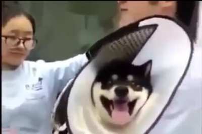 It's all fun and games until someone gets a vaccine