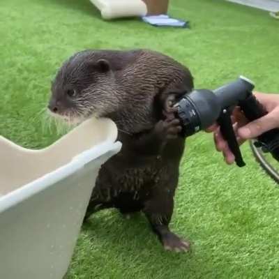 No Spray!