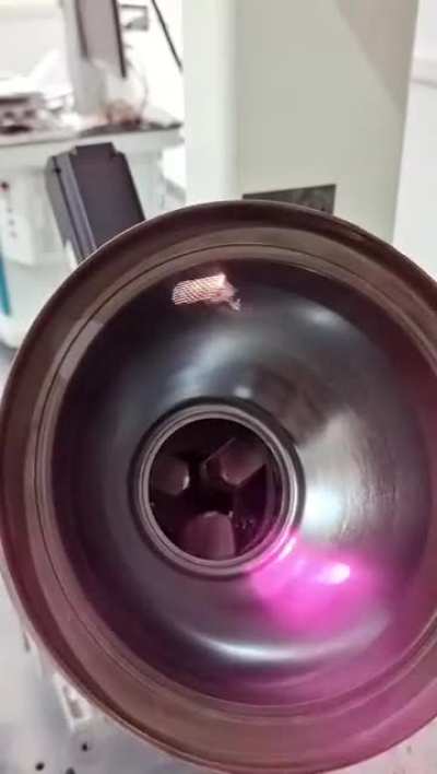 mold cleaning case