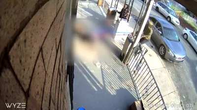 Two men sic their dogs on a pet cat only to be caught by the cat’s owner.