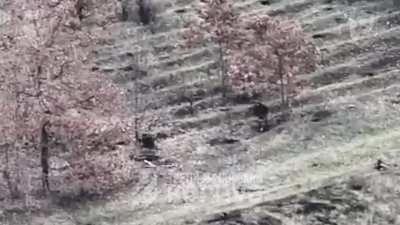Explosions of Russian vehicles, Ukrainian tanks firing point blank at Russian positions, Grad cook-offs, FPV hits on trenches and Russian soldiers, FPV hits on Russian soldiers while driving and a lot more.