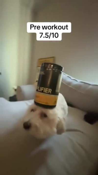 Balancing wunk