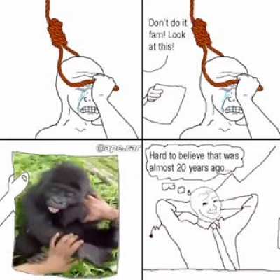 Cute monke 🙂