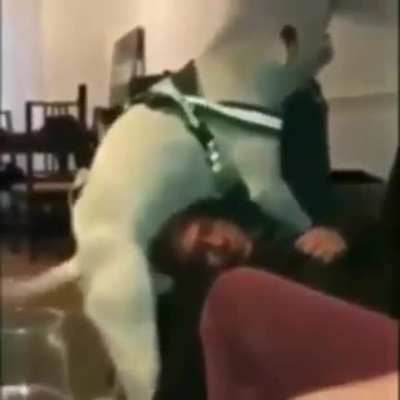 rs