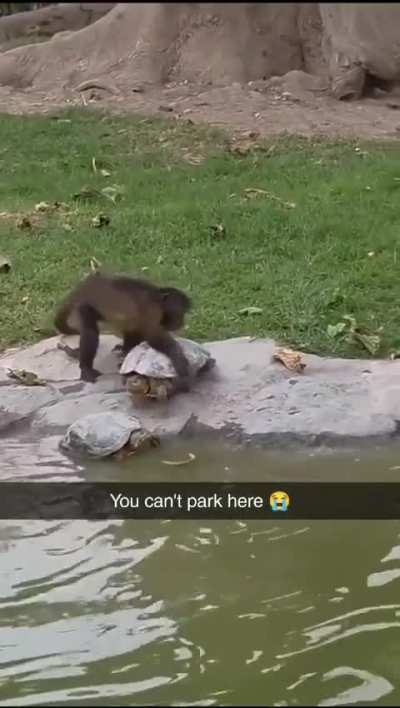 Is this 