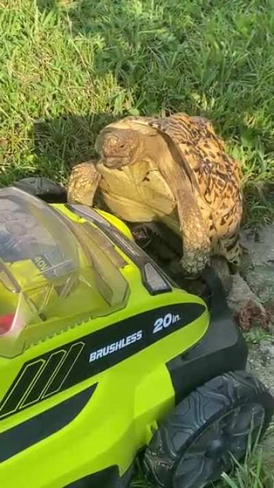 Hmmm
