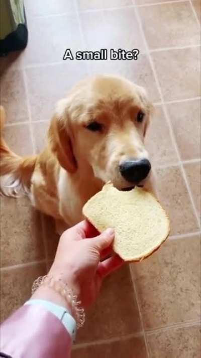 To tell a dog how to snack