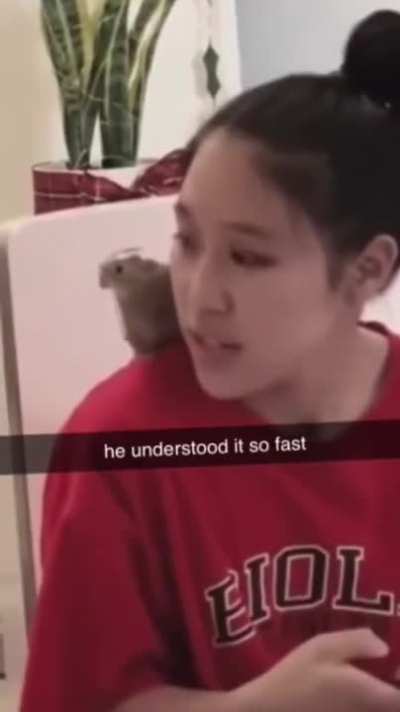 He understood the assignment