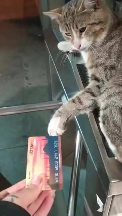 Sitting on the machine rejecting tickets