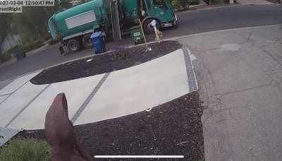 My buddy’s trash can disappeared. His Ring solved the mystery.