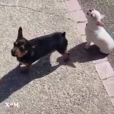 Turn on the sound!