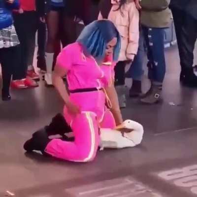 Apresento a vcs um novo genero lgbt os ducksexuais😳👉👈