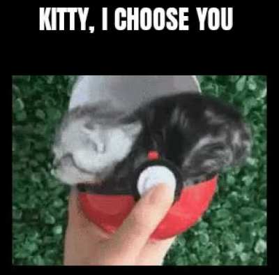 I choose you