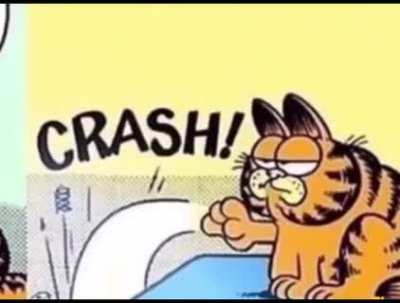 GARFIELD, WHY