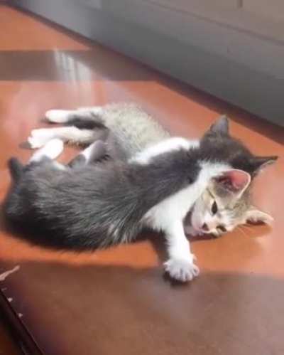 Nap time