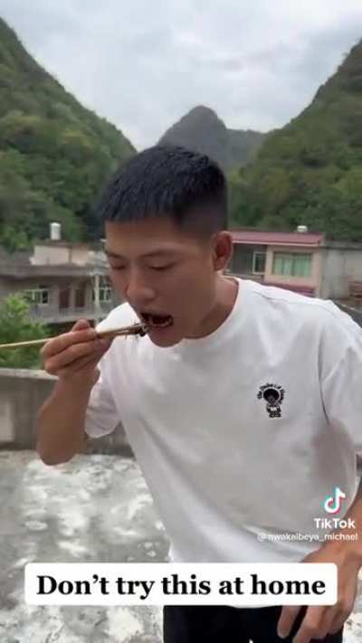 Is it really worth it? Eating yellow jacket for tiktok