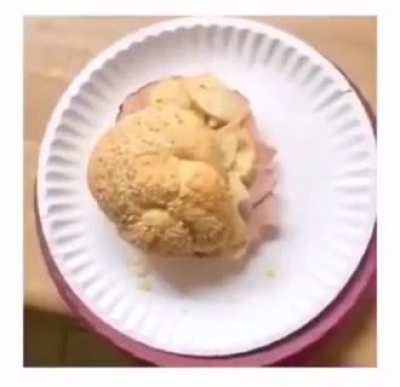 Sandwich bro