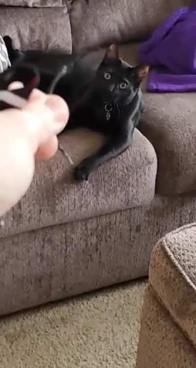 She really likes twist ties