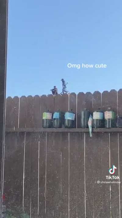 Tiny Men