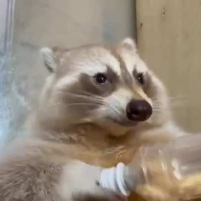 me_irl