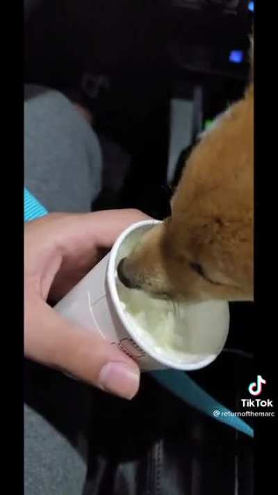Tava tudo indo tão bem...